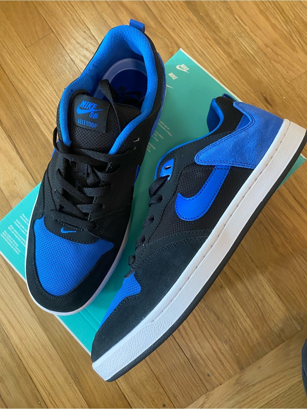 NEW Nike SB Alleyoop Dunk Black Royal